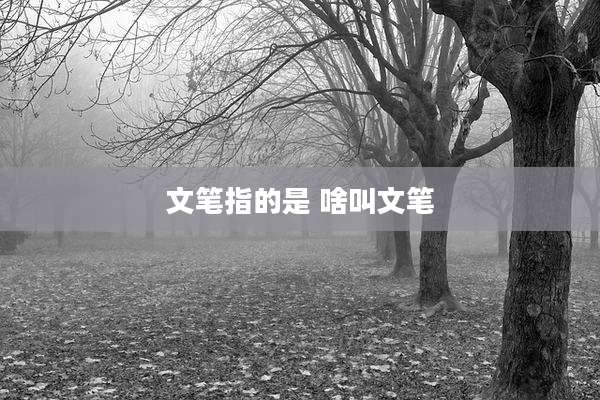 文笔指的是 啥叫文笔