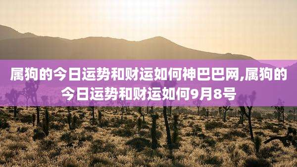 属狗的今日运势和财运如何神巴巴网,属狗的今日运势和财运如何9月8号