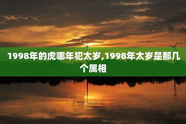 1998年的虎哪年犯太岁,1998年太岁是那几个属相