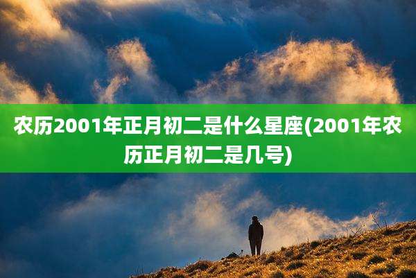 农历2001年正月初二是什么星座(2001年农历正月初二是几号)