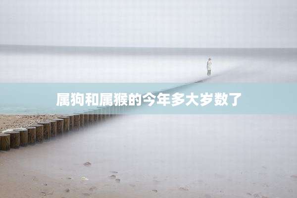 属狗和属猴的今年多大岁数了