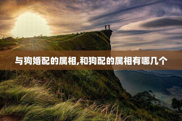 与狗婚配的属相,和狗配的属相有哪几个