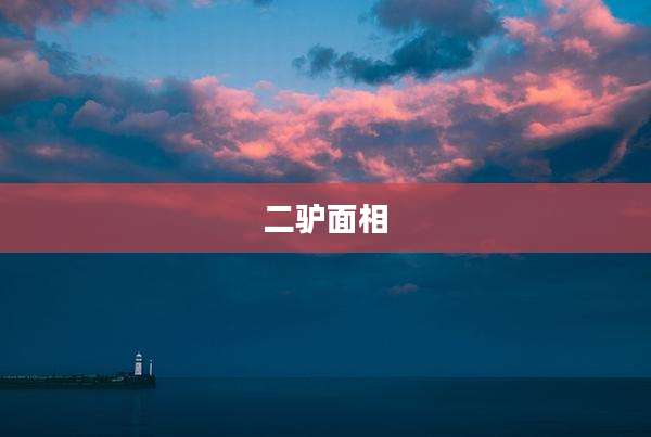 二驴面相