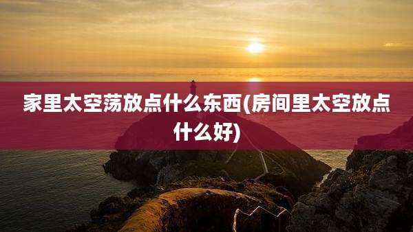 家里太空荡放点什么东西(房间里太空放点什么好)
