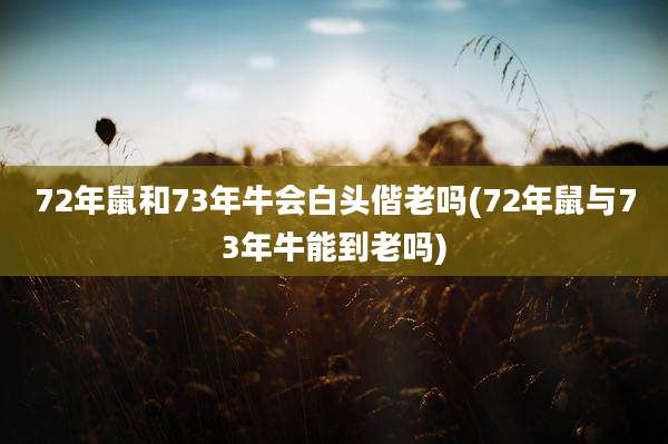 72年鼠和73年牛会白头偕老吗(72年鼠与73年牛能到老吗)
