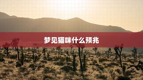 梦见猫咪什么预兆