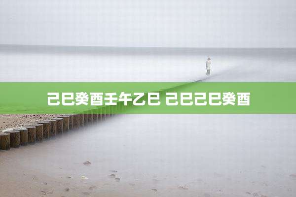 己巳癸酉壬午乙巳 己巳己巳癸酉