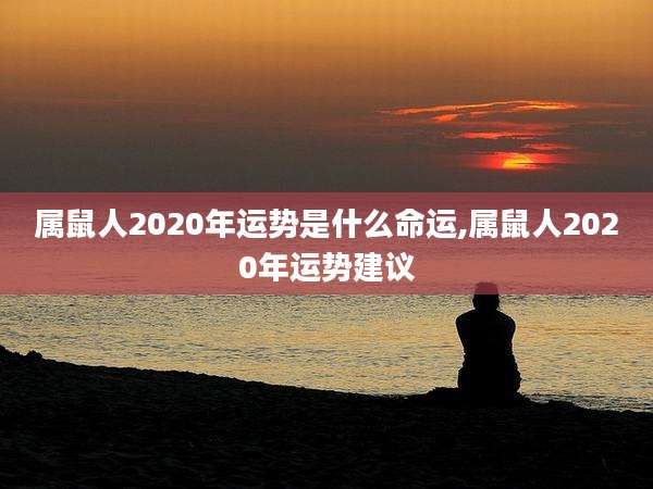 属鼠人2020年运势是什么命运,属鼠人2020年运势建议