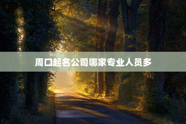 周口起名公司哪家专业人员多