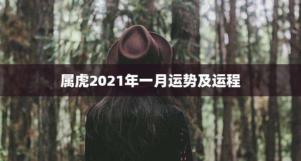 属虎2021年一月运势及运程
