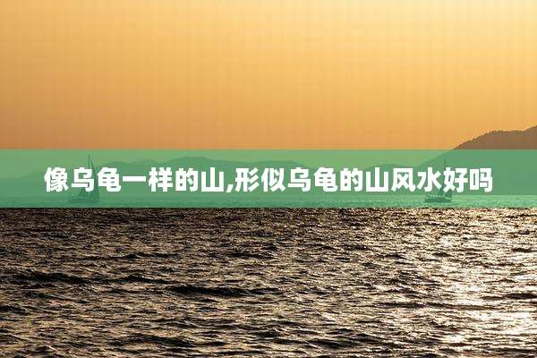 像乌龟一样的山,形似乌龟的山风水好吗