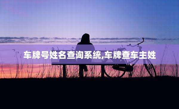 车牌号姓名查询系统,车牌查车主姓