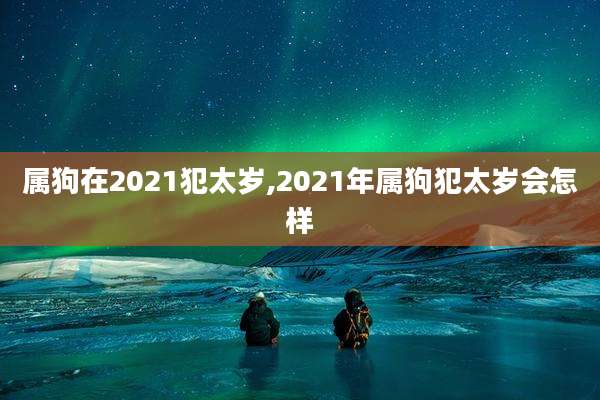 属狗在2021犯太岁,2021年属狗犯太岁会怎样