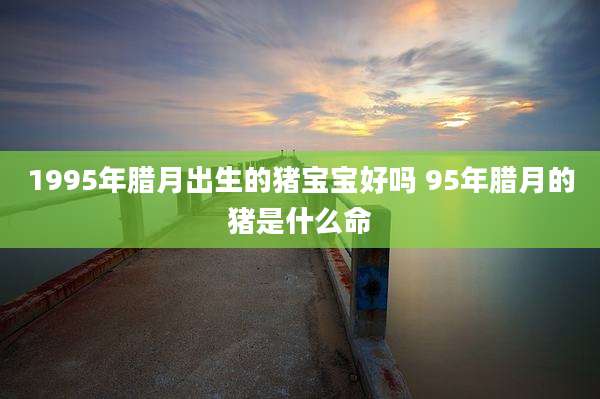 1995年腊月出生的猪宝宝好吗 95年腊月的猪是什么命