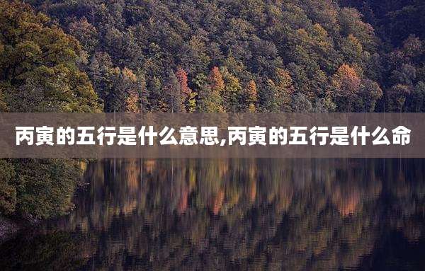丙寅的五行是什么意思,丙寅的五行是什么命