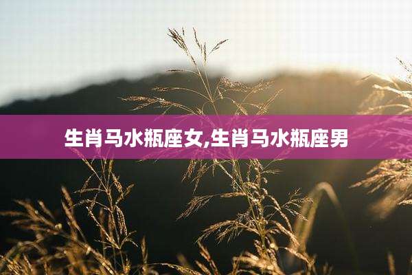 生肖马水瓶座女,生肖马水瓶座男