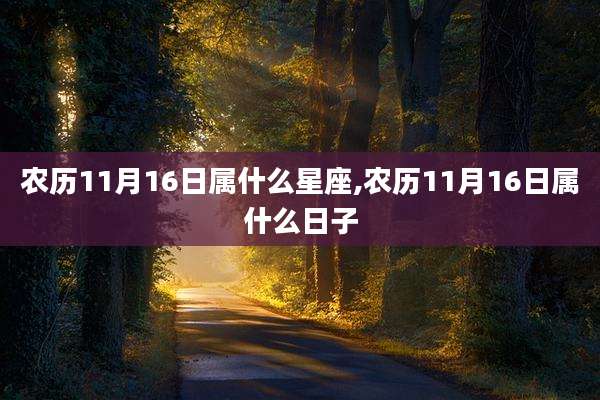 农历11月16日属什么星座,农历11月16日属什么日子