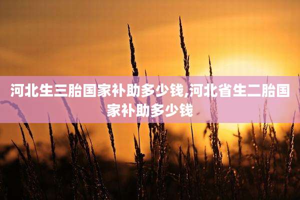 河北生三胎国家补助多少钱,河北省生二胎国家补助多少钱