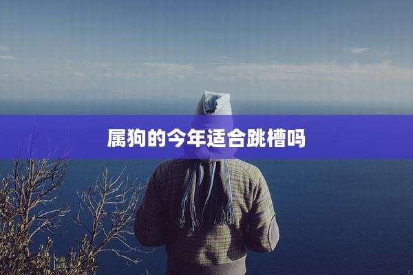 属狗的今年适合跳槽吗