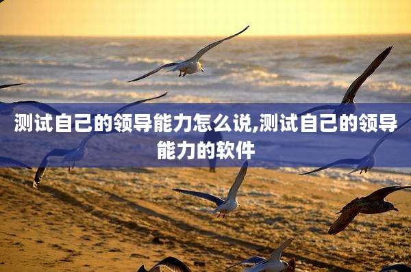 测试自己的领导能力怎么说,测试自己的领导能力的软件