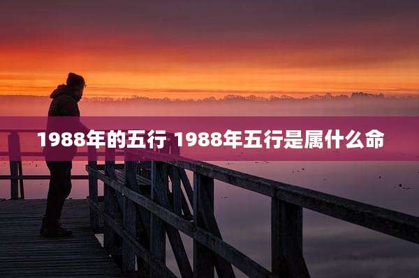 1988年的五行 1988年五行是属什么命