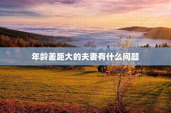 年龄差距大的夫妻有什么问题