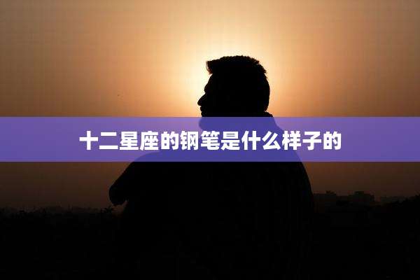 十二星座的钢笔是什么样子的