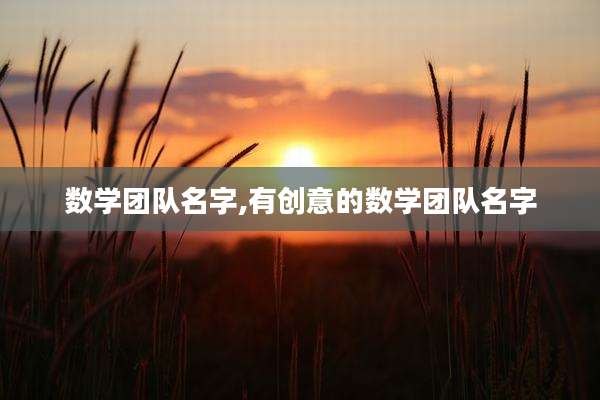 数学团队名字,有创意的数学团队名字