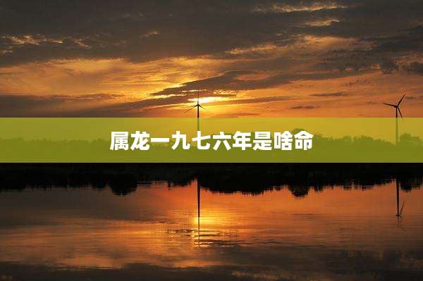 属龙一九七六年是啥命