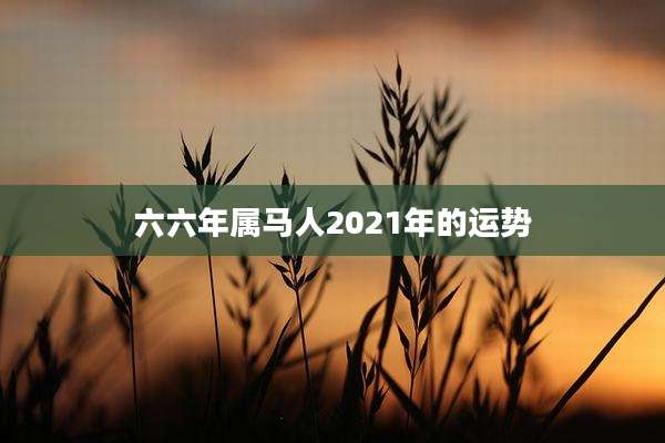 六六年属马人2021年的运势