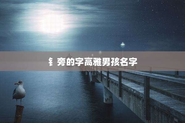 钅旁的字高雅男孩名字