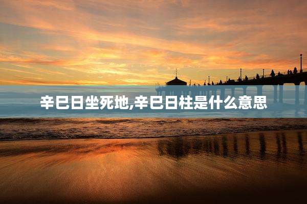 辛巳日坐死地,辛巳日柱是什么意思