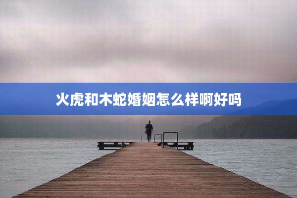 火虎和木蛇婚姻怎么样啊好吗