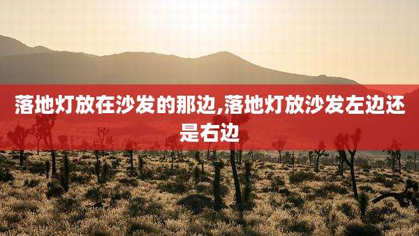 落地灯放在沙发的那边,落地灯放沙发左边还是右边
