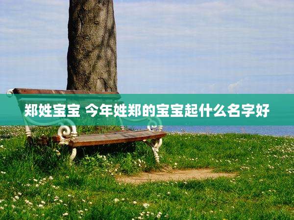 郑姓宝宝 今年姓郑的宝宝起什么名字好