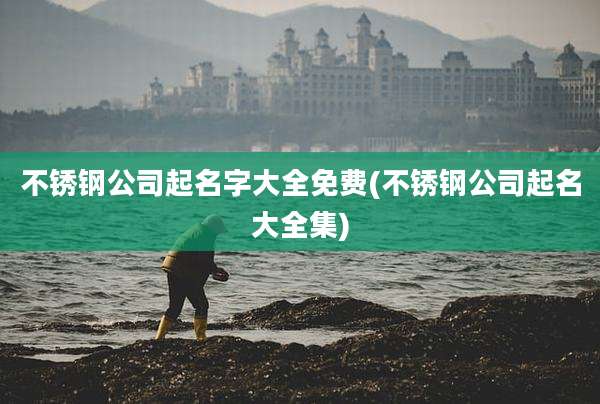 不锈钢公司起名字大全免费(不锈钢公司起名大全集)