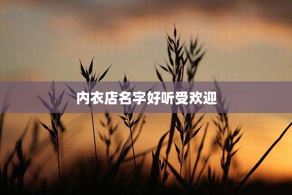 内衣店名字好听受欢迎
