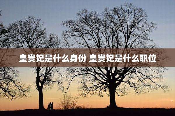 皇贵妃是什么身份 皇贵妃是什么职位
