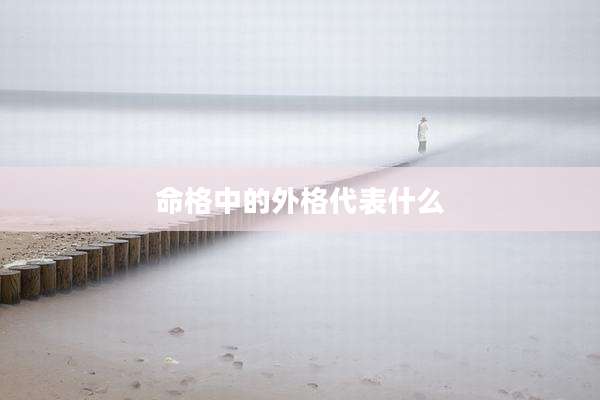 命格中的外格代表什么