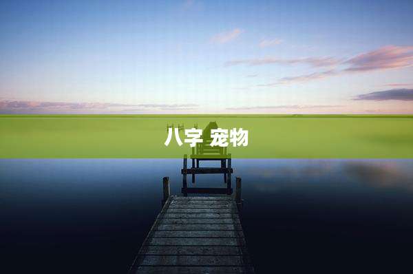 八字 宠物