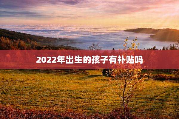 2022年出生的孩子有补贴吗