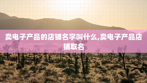 卖电子产品的店铺名字叫什么,卖电子产品店铺取名