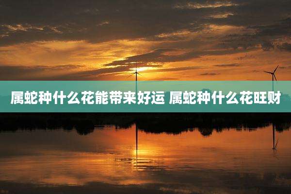 属蛇种什么花能带来好运 属蛇种什么花旺财