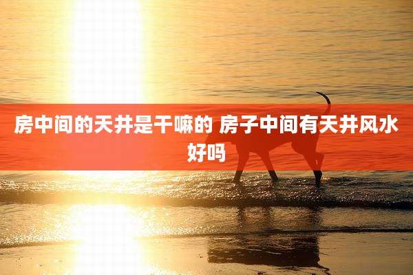 房中间的天井是干嘛的 房子中间有天井风水好吗