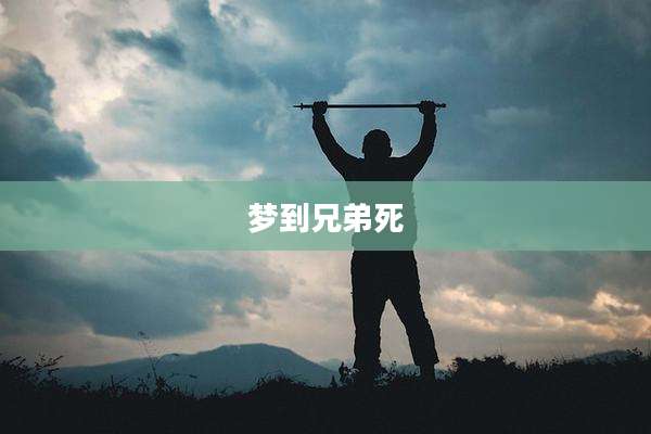 梦到兄弟死