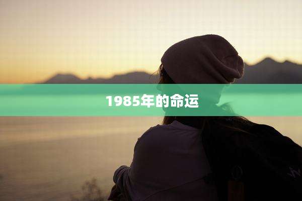 1985年的命运