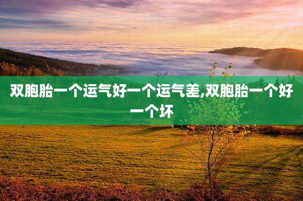 双胞胎一个运气好一个运气差,双胞胎一个好一个坏