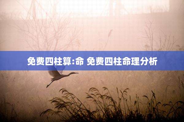 免费四柱算:命 免费四柱命理分析