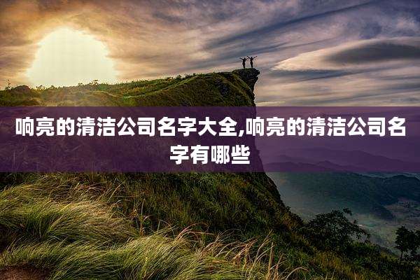 响亮的清洁公司名字大全,响亮的清洁公司名字有哪些
