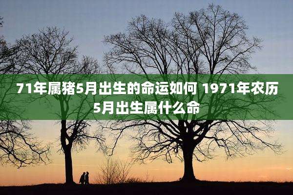 71年属猪5月出生的命运如何 1971年农历5月出生属什么命